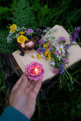 Naklejka premium hand with burn floral candle and copper cauldron, witch book, flowers in forest, nature background. botany, study of herbs, plants. Green witch ritual. witchcraft. esoteric ceremony, practical magic