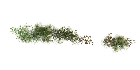 Fototapeta premium Top View of Vegetation Strip with Grass, Soil and Plants Isolated on Transparent Background. 3D rendering.