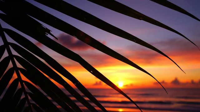 Scenic Tropical Sunset View Through Palm Fronds with Fiery Orange and Purple Sky and Gentle Ocean Waves