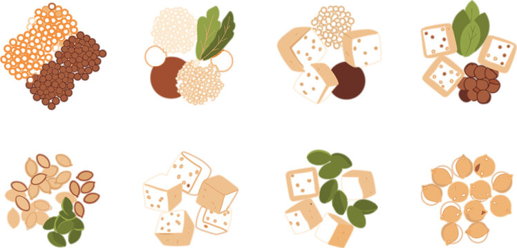 Plant Based Protein Ingredients Vector Set with Tofu Beans Lentils Seeds and Nuts for Vegan Nutrition and Healthy Food Design