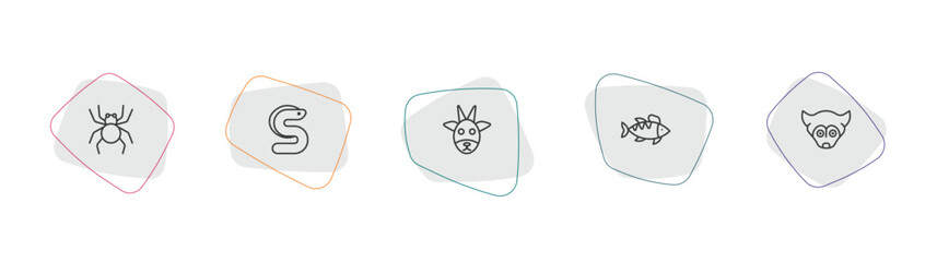 animals outline icon set. linear vector for ui, web and mobile. thin line spider, eel, goat icons. © Farahim