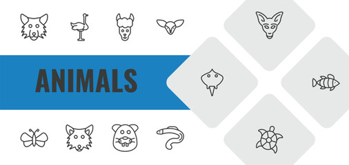 animals outline icon set. linear vector for ui, web and mobile. thin line wolf, ostrich, lama icons. © Farahim