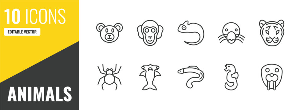 animals outline icon set. 10 linear vector for ui, web and mobile. thin line bear, chimpanzee, chameleon icons.