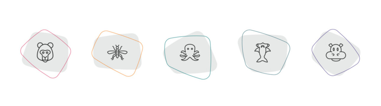 animals outline icon set. linear vector for ui, web and mobile. thin line baboon, mosquito, octopus icons.