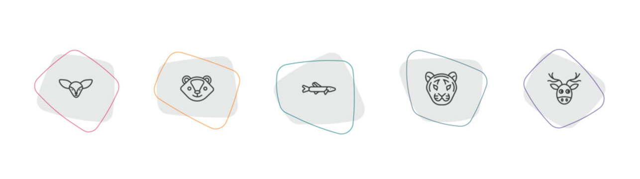 animals outline icon set. linear vector for ui, web and mobile. thin line fennec fox, skunk, pike icons.