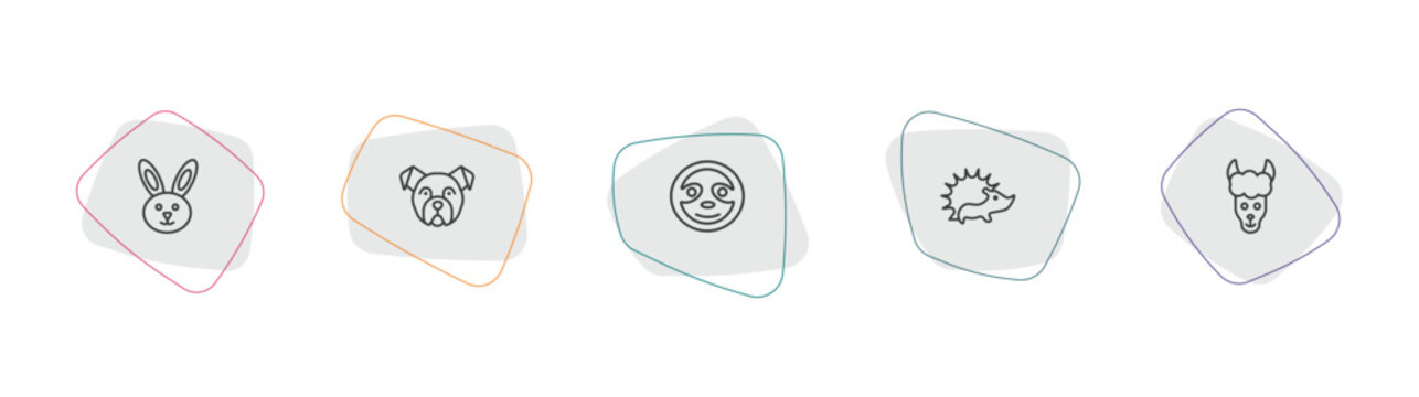 animals outline icon set. linear vector for ui, web and mobile. thin line rabbit, bulldog, sloth icons.