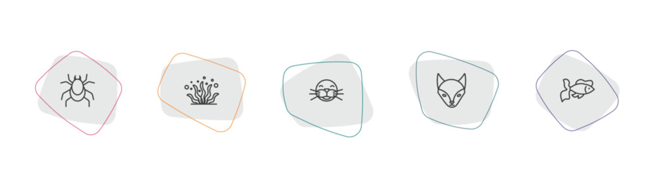 animals outline icon set. linear vector for ui, web and mobile. thin line mite, seaweed, seal icons.