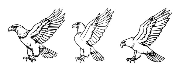 Obraz premium Eagle set with majestic powerful soaring wings and sharp talons featuring bird, wildlife, aerial with nature and mountains