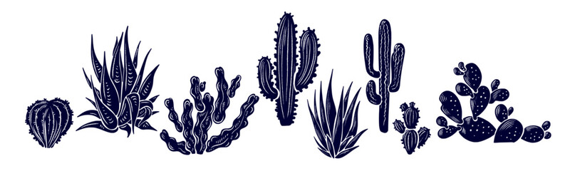 Obraz premium Vector cactus illustration set featuring desert flora. Mexican plant and succulent crayon sketch with hand drawn chalk texture in simple graphic style perfect for nature design