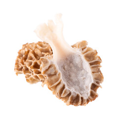Obraz premium Morel mushroom isolated on white background. Morchella esculenta. Spring edible fungi. Clipping path.