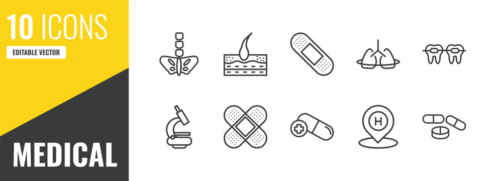 medical outline icon set. 10 linear vector for ui, web and mobile. thin line pelvic area, epidermis, sticking plaster icons.