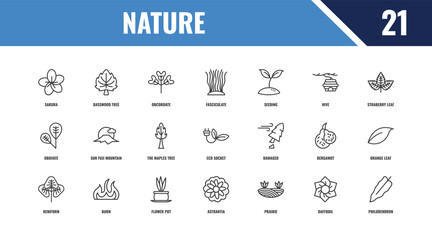 nature outline icon set. linear vector for ui, web and mobile. thin line basswood tree, straberry leaf, damaged icons. © Farahim