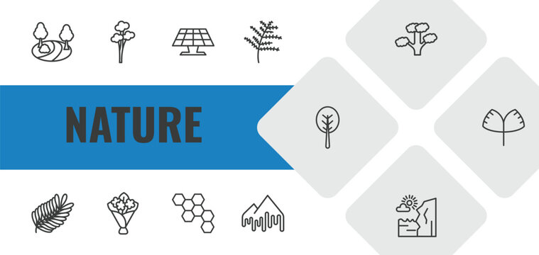 nature outline icon set. linear vector for ui, web and mobile. thin line sunny park, quaking aspen tree, solar icons.