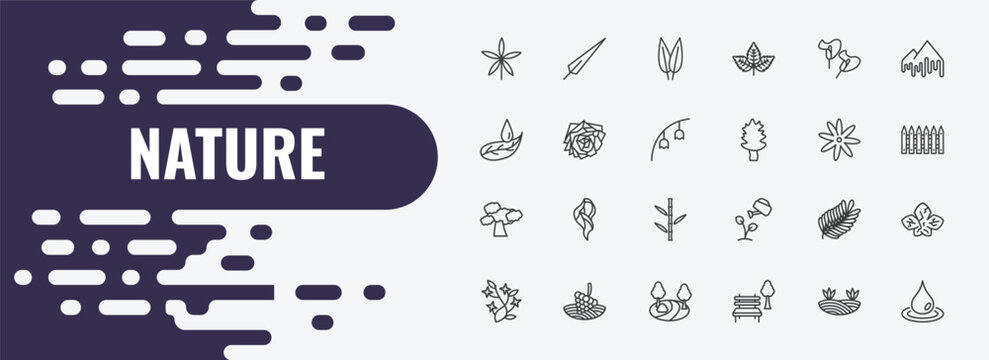 nature outline icon set. linear vector for ui, web and mobile. thin line subulate, lemon leaf, calla icons.