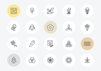 nature outline icon set. linear vector for ui, web and mobile. thin line zinnia, scarlet oak tree, floral decorations icons. © Farahim