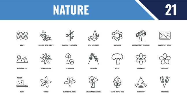 nature outline icon set. linear vector for ui, web and mobile. thin line branch with leaves, landscape inside frame, beech icons.