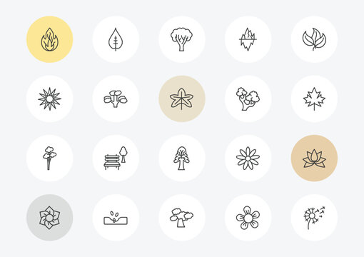 nature outline icon set. linear vector for ui, web and mobile. thin line burning flames, sol, quaking aspen tree icons.