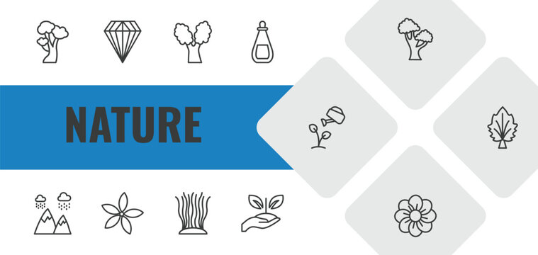 nature outline icon set. linear vector for ui, web and mobile. thin line american beech tree, gemstone, eastern cottonwood tree icons.