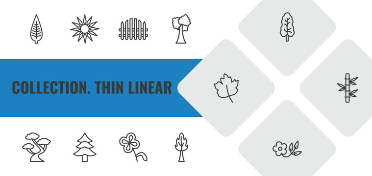 collection. thin linear outline icon set. linear vector for ui, web and mobile. thin line lanceolate, sol, picket fence icons.
