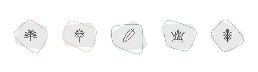 nature outline icon set. linear vector for ui, web and mobile. thin line trifoliate ternate, carnation, philodendron icons. © Farahim
