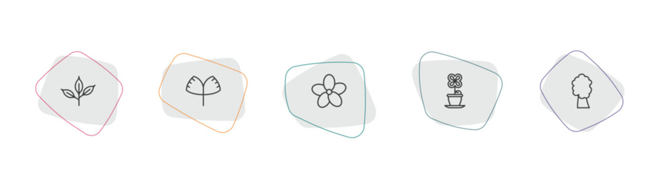 nature outline icon set. linear vector for ui, web and mobile. thin line cherry leaf, ginkgo, oleander icons.
