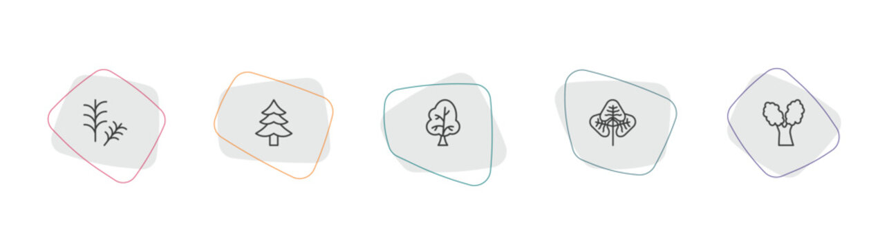 nature outline icon set. linear vector for ui, web and mobile. thin line rosemary, cedar, sugar maple tree icons.