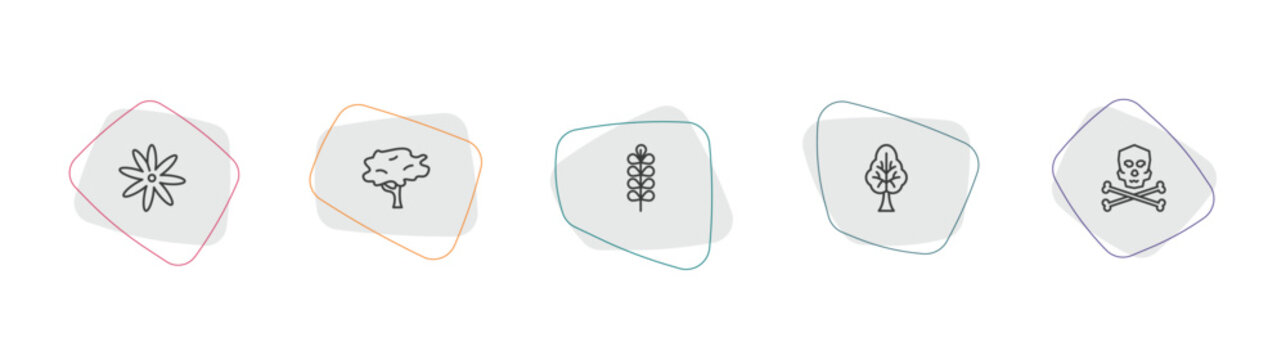 nature outline icon set. linear vector for ui, web and mobile. thin line sisyrinchium, red maple tree, pecan leaf icons.