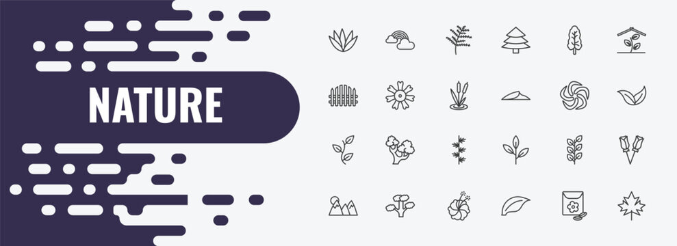 nature outline icon set. linear vector for ui, web and mobile. thin line rainbow behind a cloud, cypress leaf, black ash tree icons.