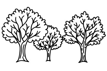 Obraz premium Simple black and white vector illustration graphic design of three deciduous trees standing together in a stylized manner