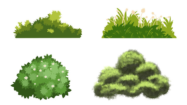 Cattail Plant Illustration with Green Grass