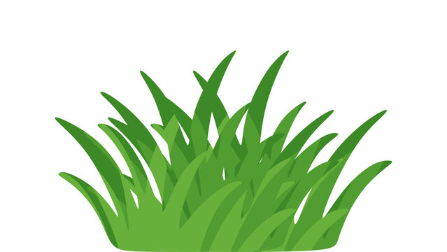 Cattail Plant Illustration with Green Grass