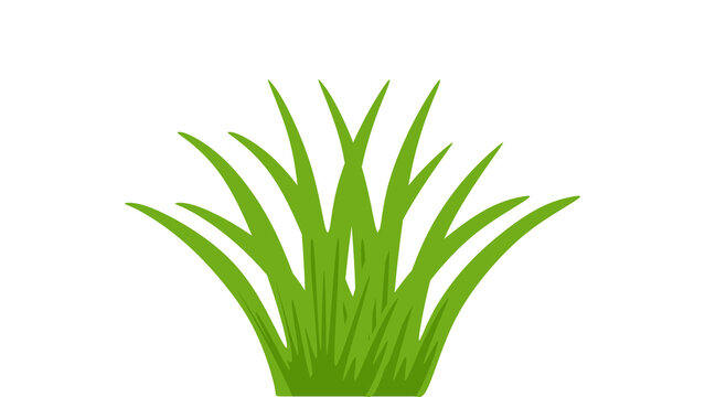 Cattail Plant Illustration with Green Grass