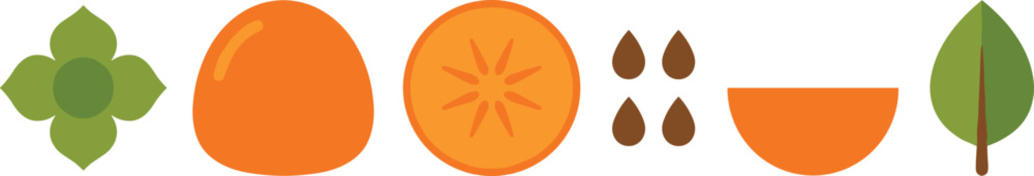 Persimmon Fruit Elements Set with Whole Fruit, Slice, Seeds and Leaves in Minimal Flat Vector Icon Design Style
