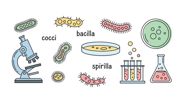 Microbial World: A colorful illustration showcasing diverse microscopic organisms and scientific equipment, inviting exploration of the unseen world and scientific discovery.