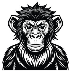 Obraz premium Set of different monkey silhouettes isolated on white background. Capuchin monkey and chimpanzee hanging, sitting and running