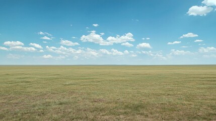 Obraz premium A vast green field stretches under a blue sky with white clouds on a sunny day.