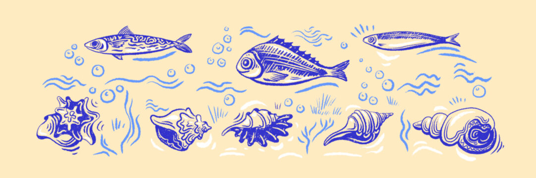 Seaside summer collection of shell sketch and marine fish. Beach themed doodle set with seaweed and nautical element in organic hand drawn outline style. Vector texture crayon illustration
