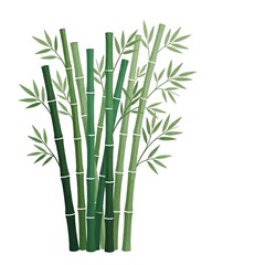 Obraz premium Bamboo stalks with leaves on white background for design and decoration purposes.
