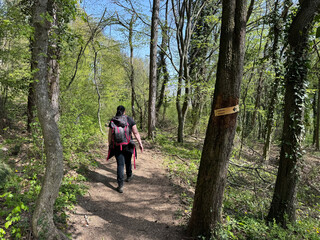 Fototapeta premium Mountaineering trails on Mount Kalnik / Trails for walking and recreation in the significant landscape of Kalnik, Croatia (Planinarske staze na Kalniku / staze za šetnju i rekreaciju na planini Kalnik