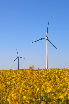 Wind turbines at sunset in green field &ndash; renewable energy, clean power, sustainable future.
