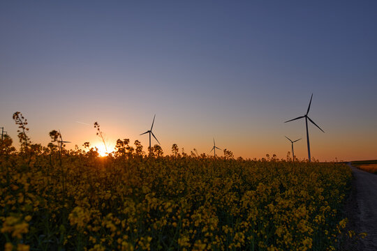 Wind turbines at sunset in green field &ndash; renewable energy, clean power, sustainable future.