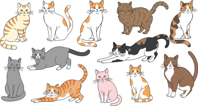 Cat breeds illustration set vector. Cute domestic cats collection in different poses. Various colorful kittens, playful pet characters, flat style animal design pack.