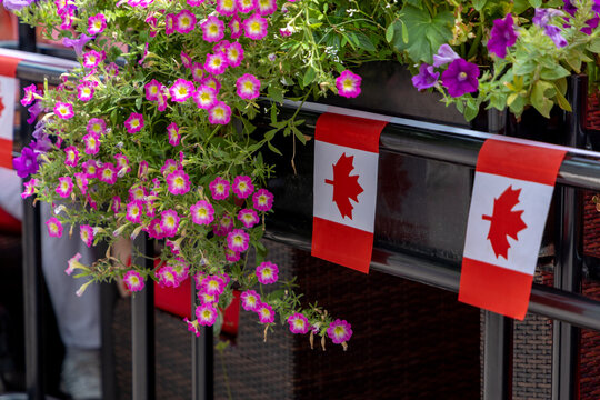 Canada Day decoration with flowers and Canadian flags at outdoor patio.