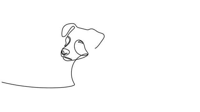 Animated self drawing of continuous line draw of english bulldog portrait. Full length one line animation. 4K, dog day, Dog drawing with continuous line, quick sketch of domestik animal. Pet's portrai