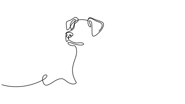 Animated self drawing of continuous line draw of english bulldog portrait. Full length one line animation. 4K, dog day, Dog drawing with continuous line, quick sketch of domestik animal. Pet's portrai