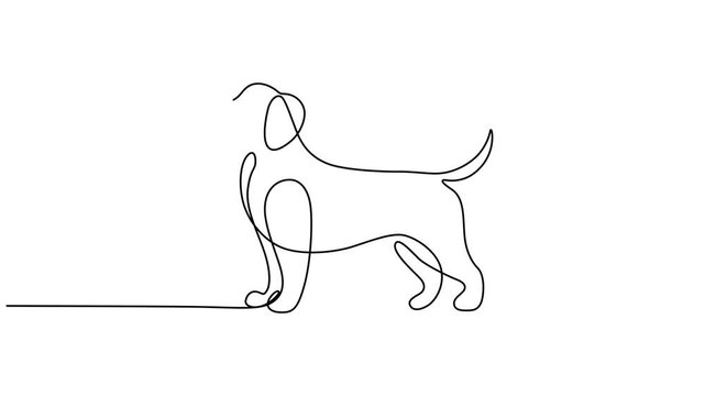 Animated self drawing of continuous line draw of english bulldog portrait. Full length one line animation. 4K, dog day, Dog drawing with continuous line, quick sketch of domestik animal. Pet's portrai
