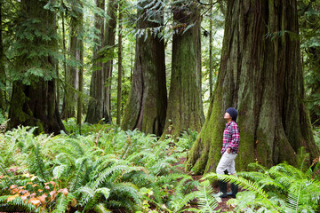 Naklejka premium Tourist MacMillan Provincial Park Forest Grove Vancouver Island