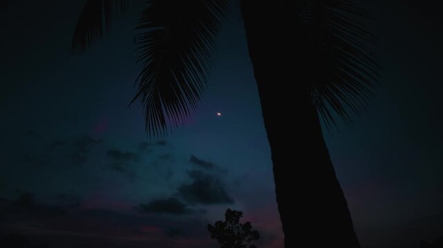 Mindful tropical night scene with palm silhouette and crescent moon invites inner calm. Blue night sky framed by palm tree supports meditation relaxation silence balance and emotional wellness concept