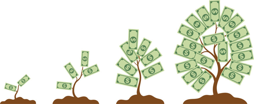 Illustration showing four stages of money tree growth from tiny sprout to fully bloomed tree with dollar bills instead of leaves, financial growth concept, investment success journey, wealth building 