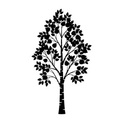 Obraz premium Silhouette of a tall tree with many leaves against a white background.